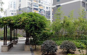 北城春色住宅小区景观绿化工程