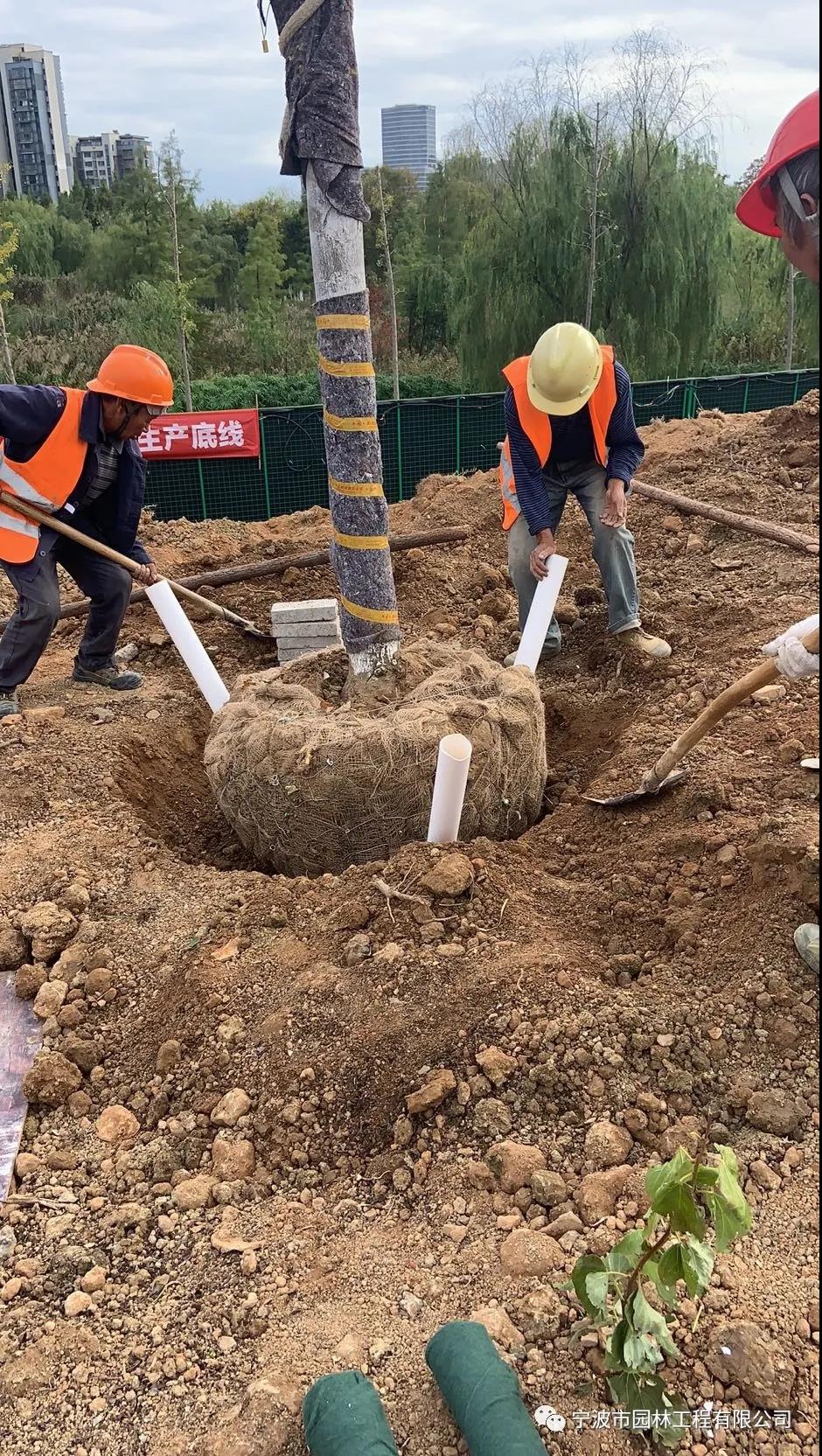 法国3.jpg